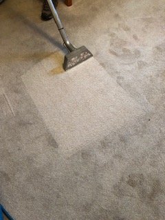 carpet cleaning photo